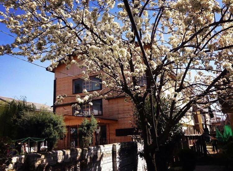 Royal Star Inn Srīnagar Dış mekan fotoğraf